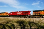 CP 8730